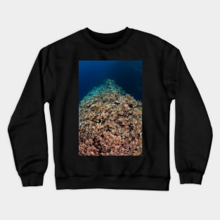 cauliflower Crewneck Sweatshirt